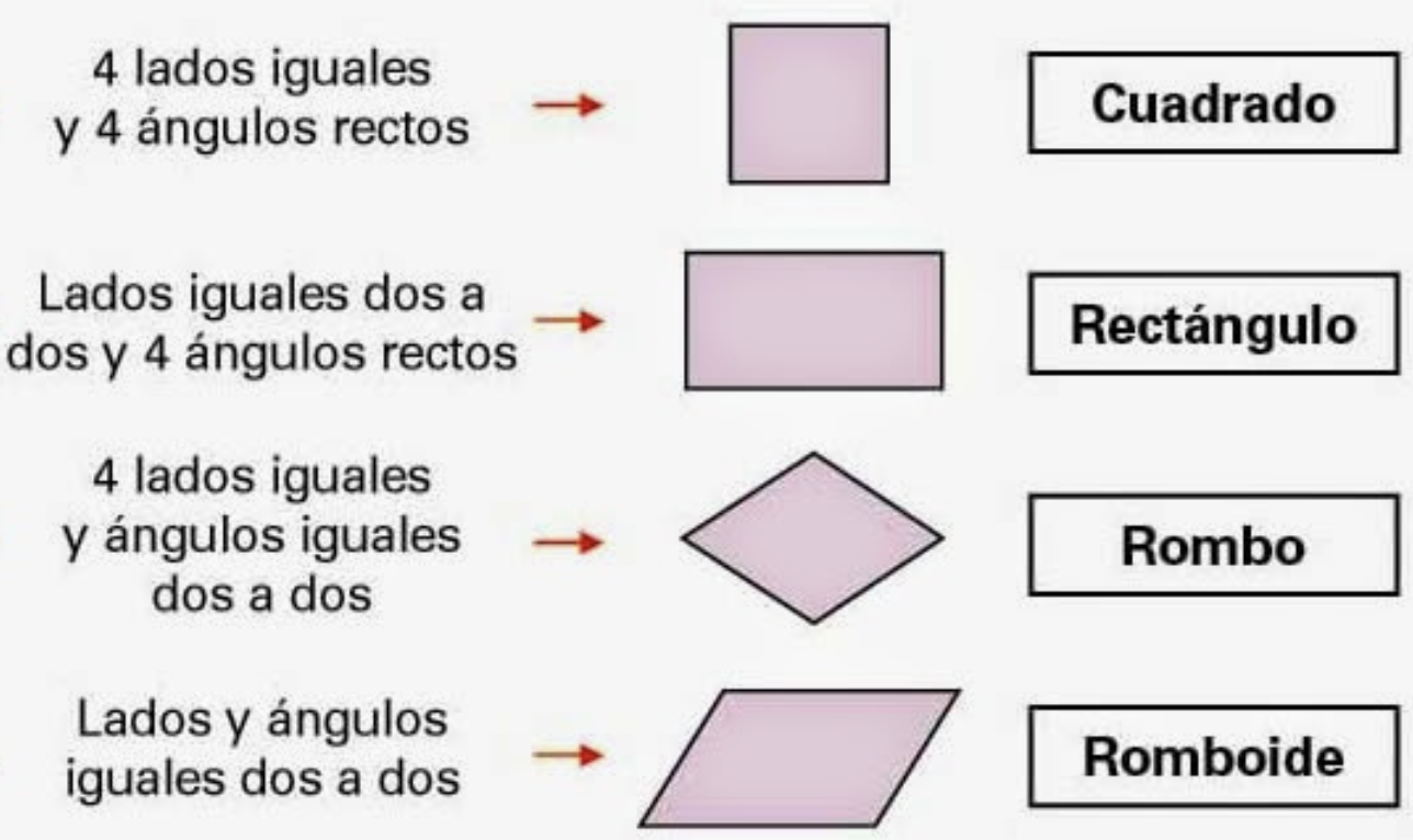 Clasificaci N De Cuadril Teros Y Paralelogramos Los Pol Gonos