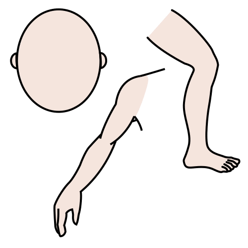 Descomposición del cuerpo humano en sus partes Imagen que muestra algunas partes de la descomposición del cuerpo humano