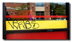 verbs