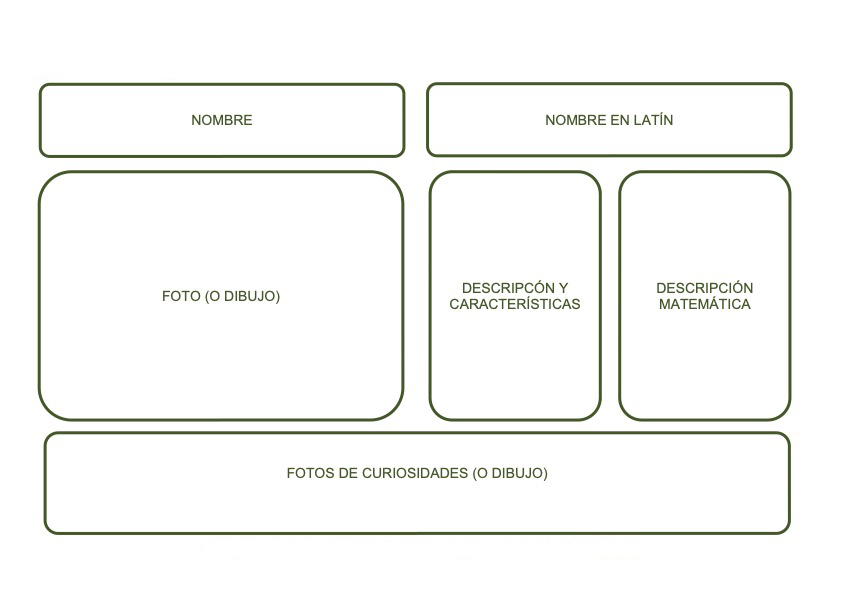 Ejemplo de página para el libro de insectos