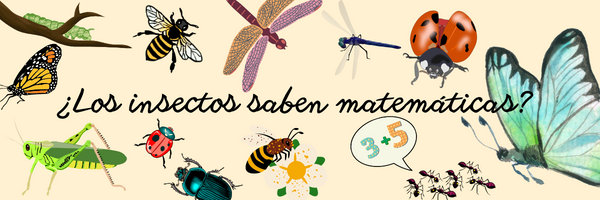 ¿Los insectos saben matemáticas?