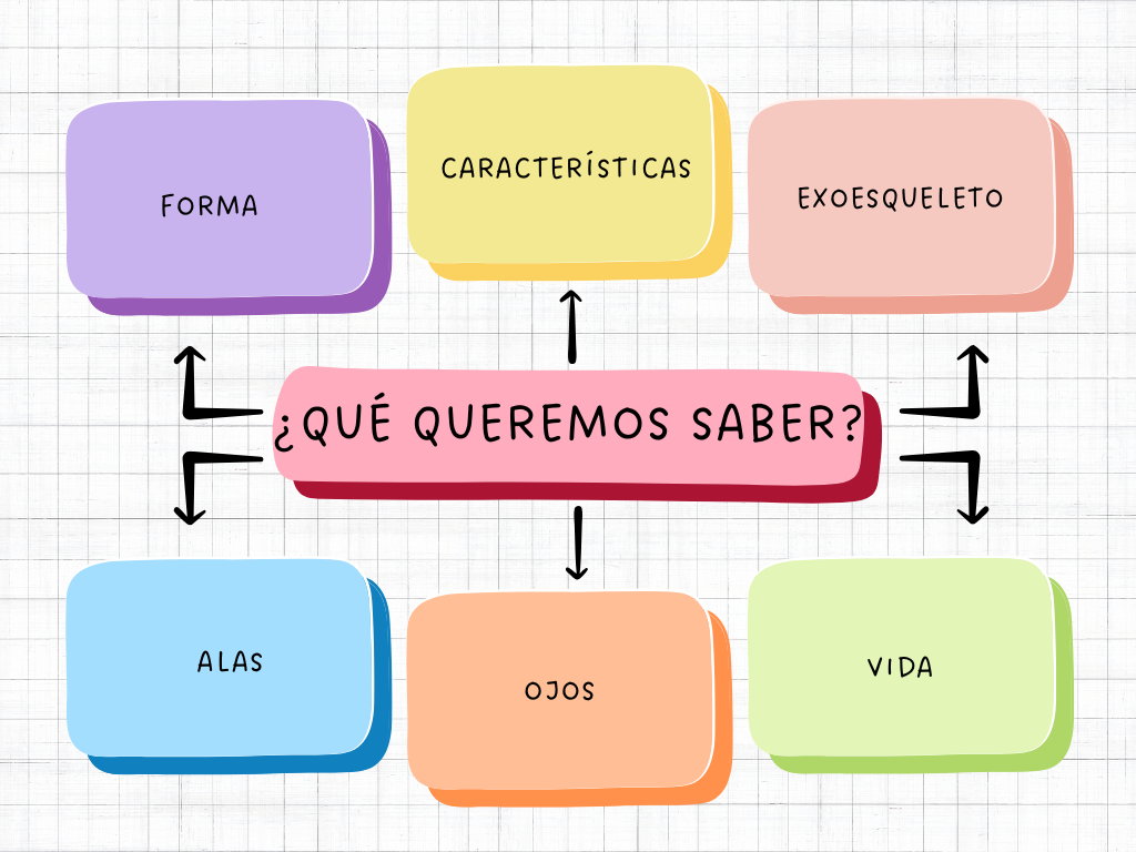 Mapa conceptual 1