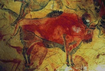 Bisonte de Altamira