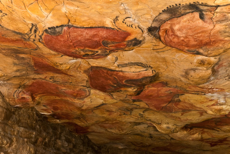 Vista general del techo de polícromos. Altamira Fotografía del techo del interior de la cueva de Altamira