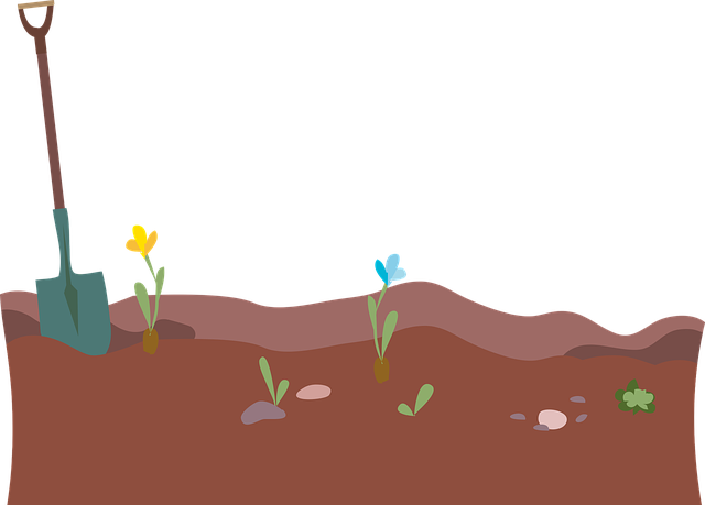 Garden Ilustración de una tierra cultivada