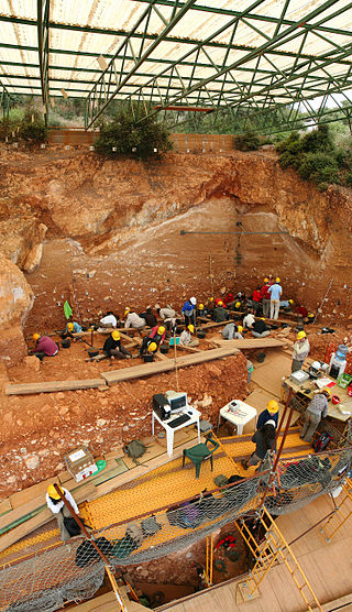 Excavación del yacimiento de la Gran Dolina de Atapuerca. Fotografía Excavación del yacimiento de la Gran Dolina de Atapuerca.