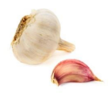Ajo