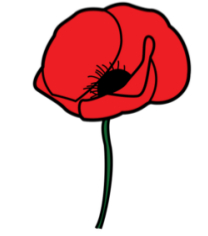 Amapola