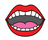 boca