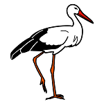 cigüeña