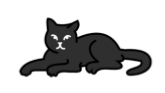 gato