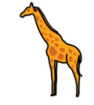 jirafa