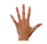 Mano