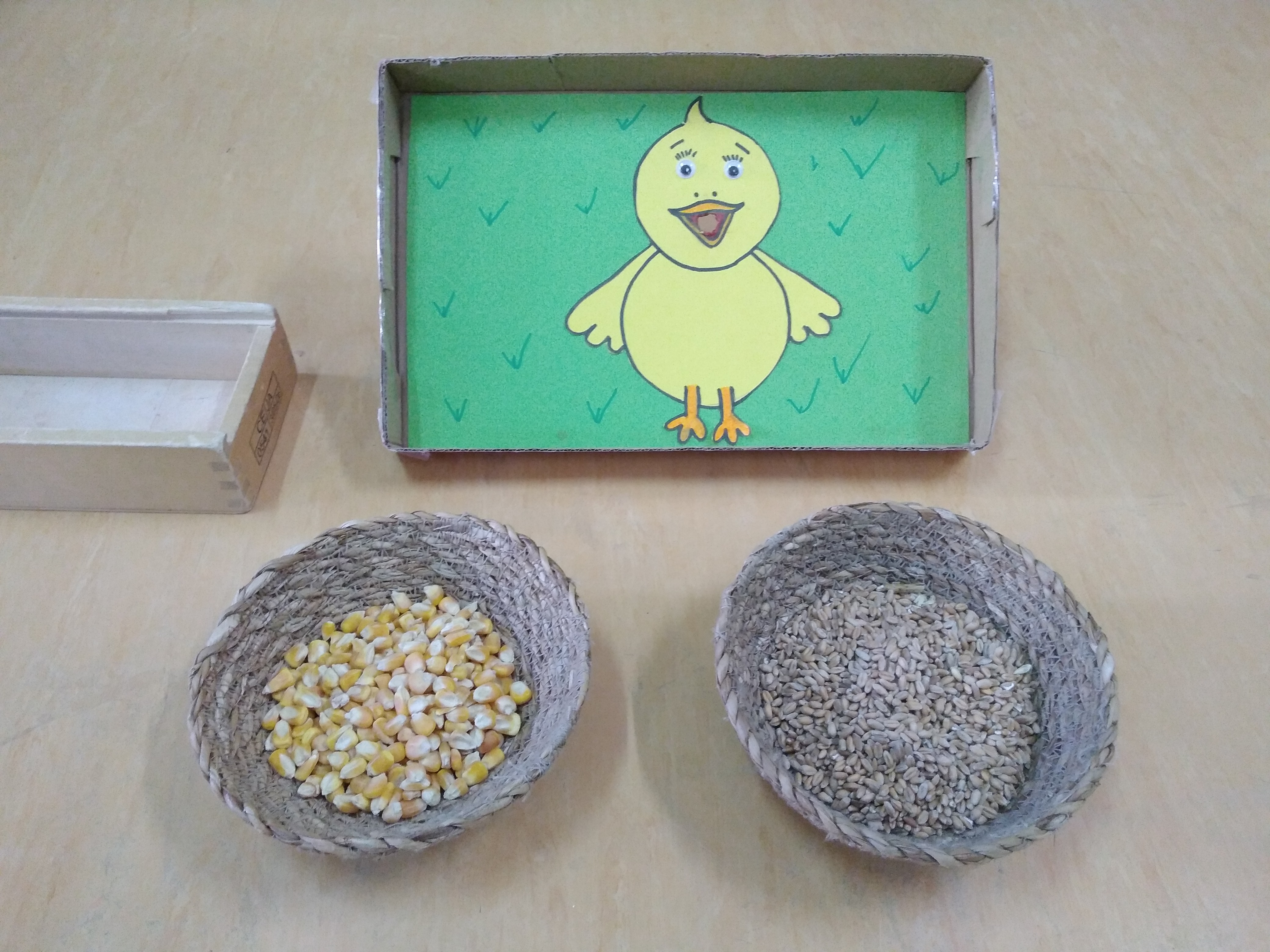 pollito y comida