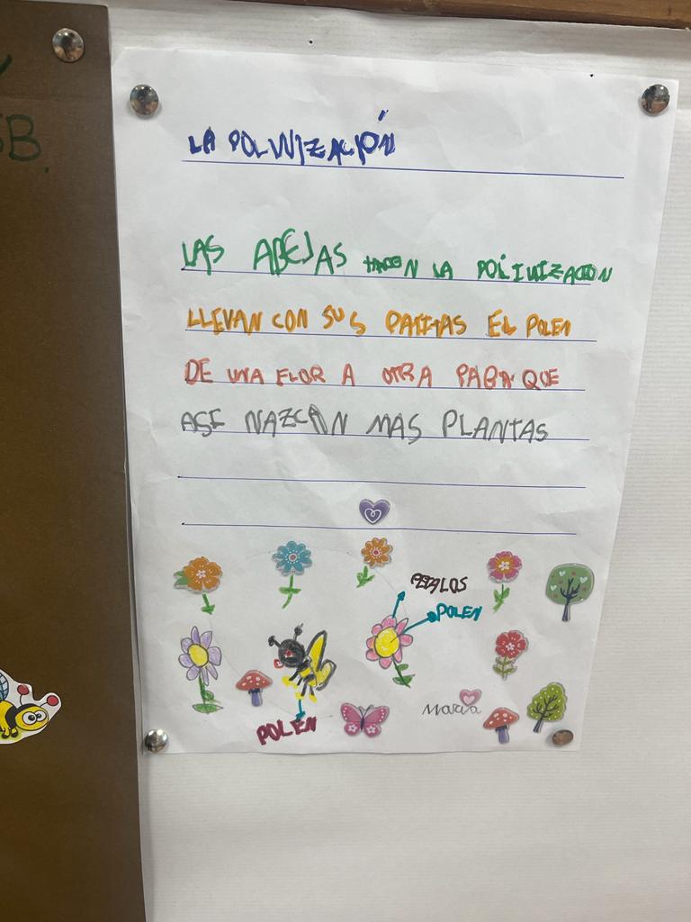 Fotografía trabajo de un alumno sobre las abejas