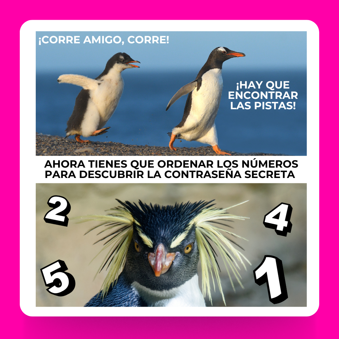 Meme Actividad 1 Meme ACTIVIDAD 1