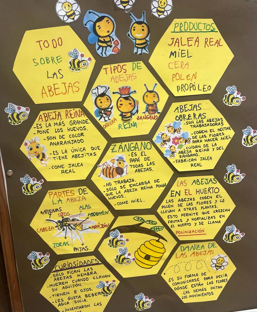 Trabajo sobre las abejas de un alumno Trabajo sobre las abejas de un alumno