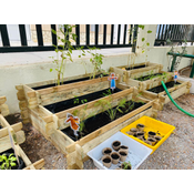 Plantación de nuestro huerto escolar