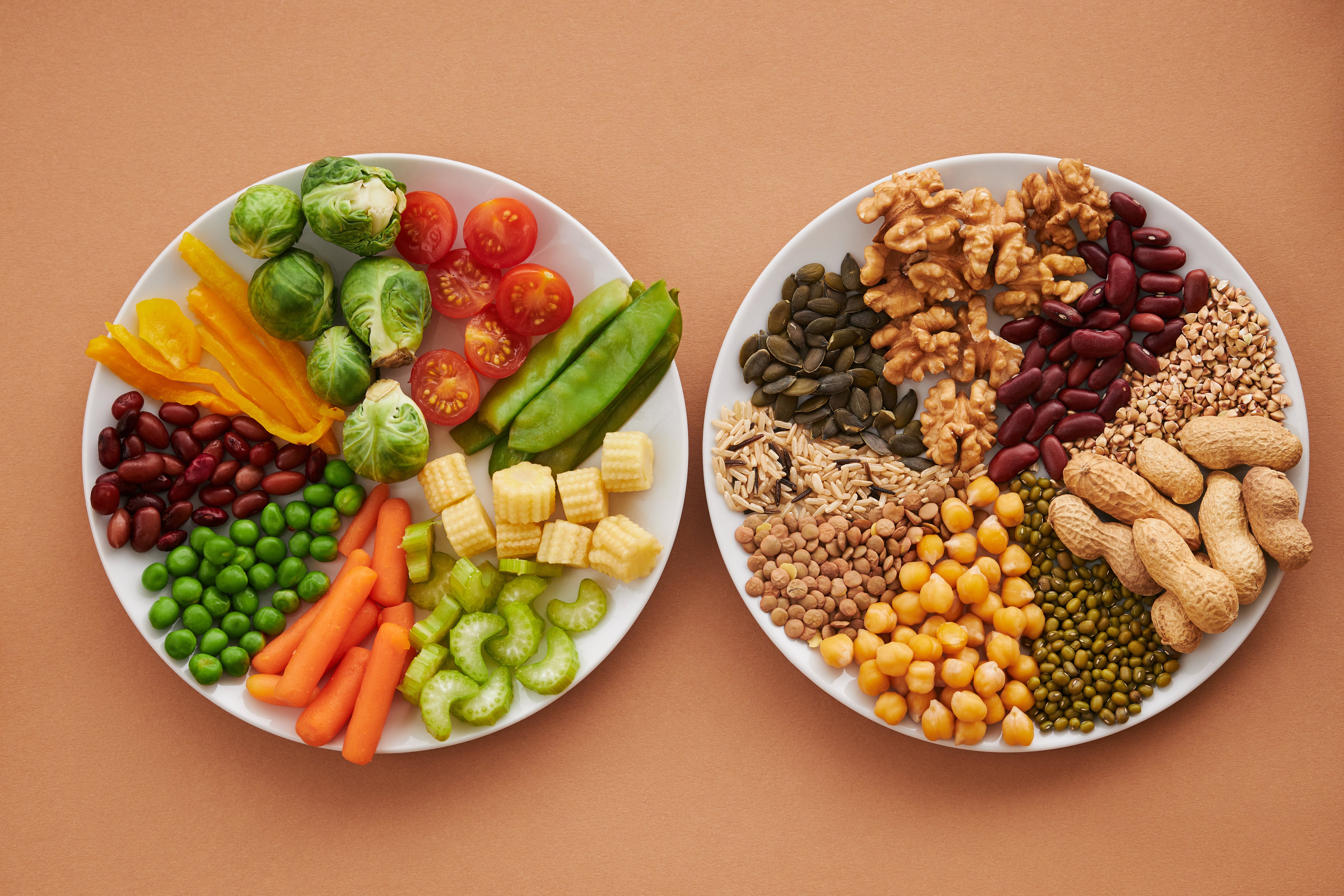 Alimentación
