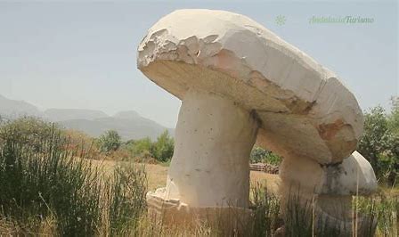 Seta