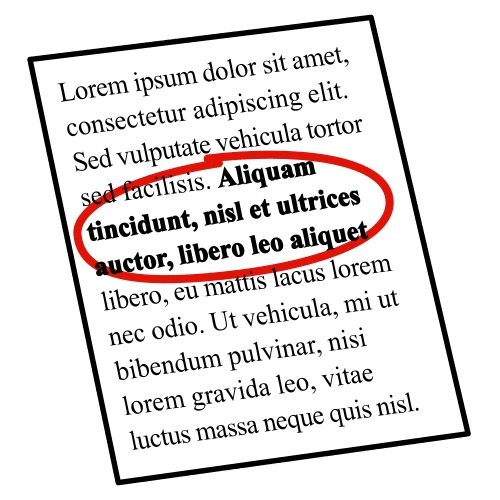 Imagen donde aparece representado un texto. En él, hay unas palabras en negrita que aparecen rodeadas con una línea roja.