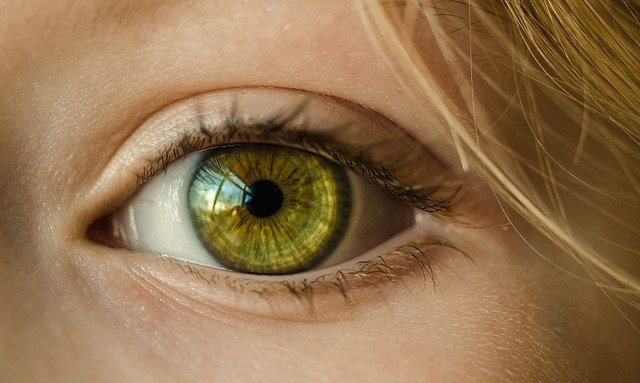 Ojo