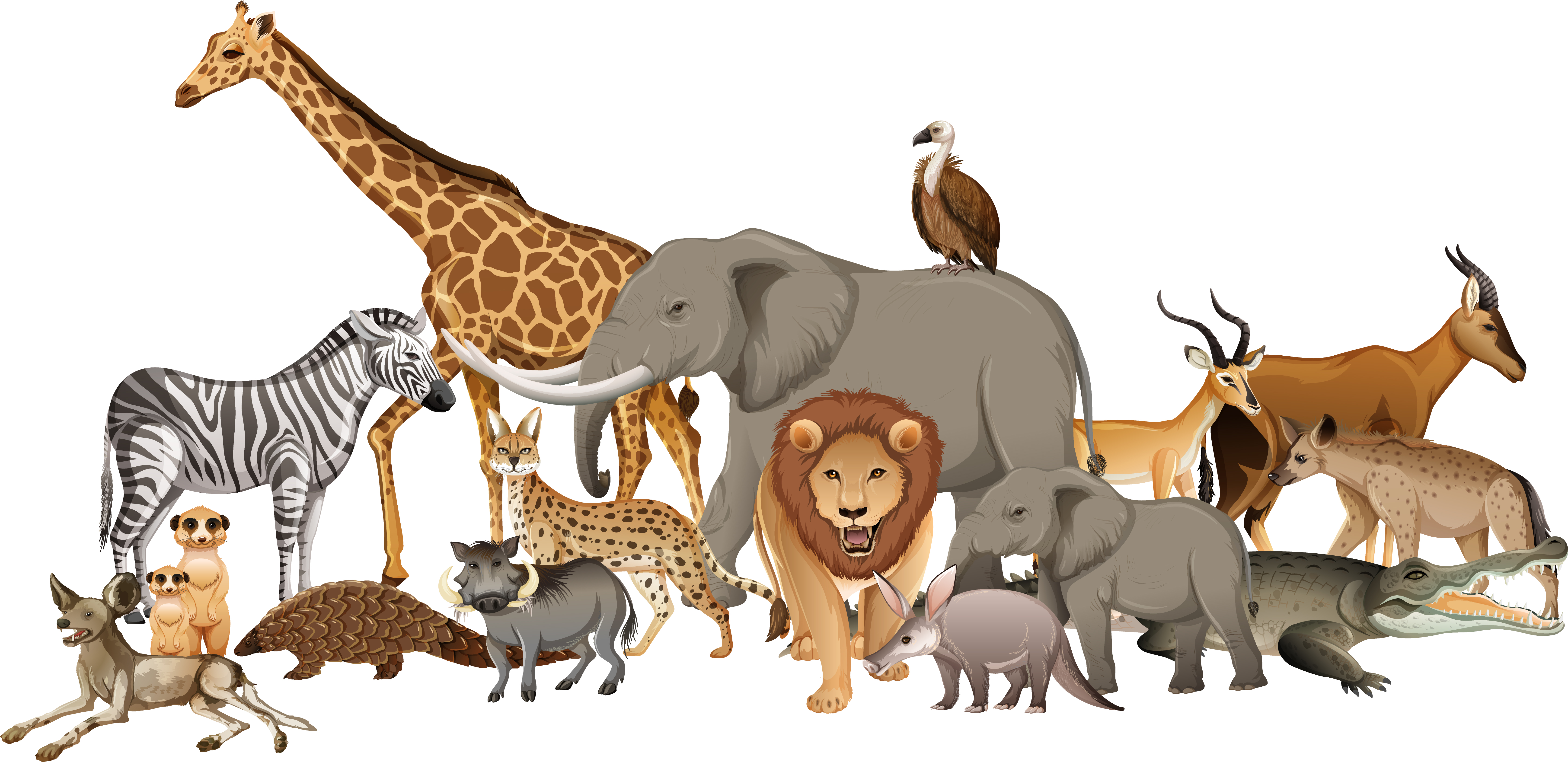 Animales salvajes