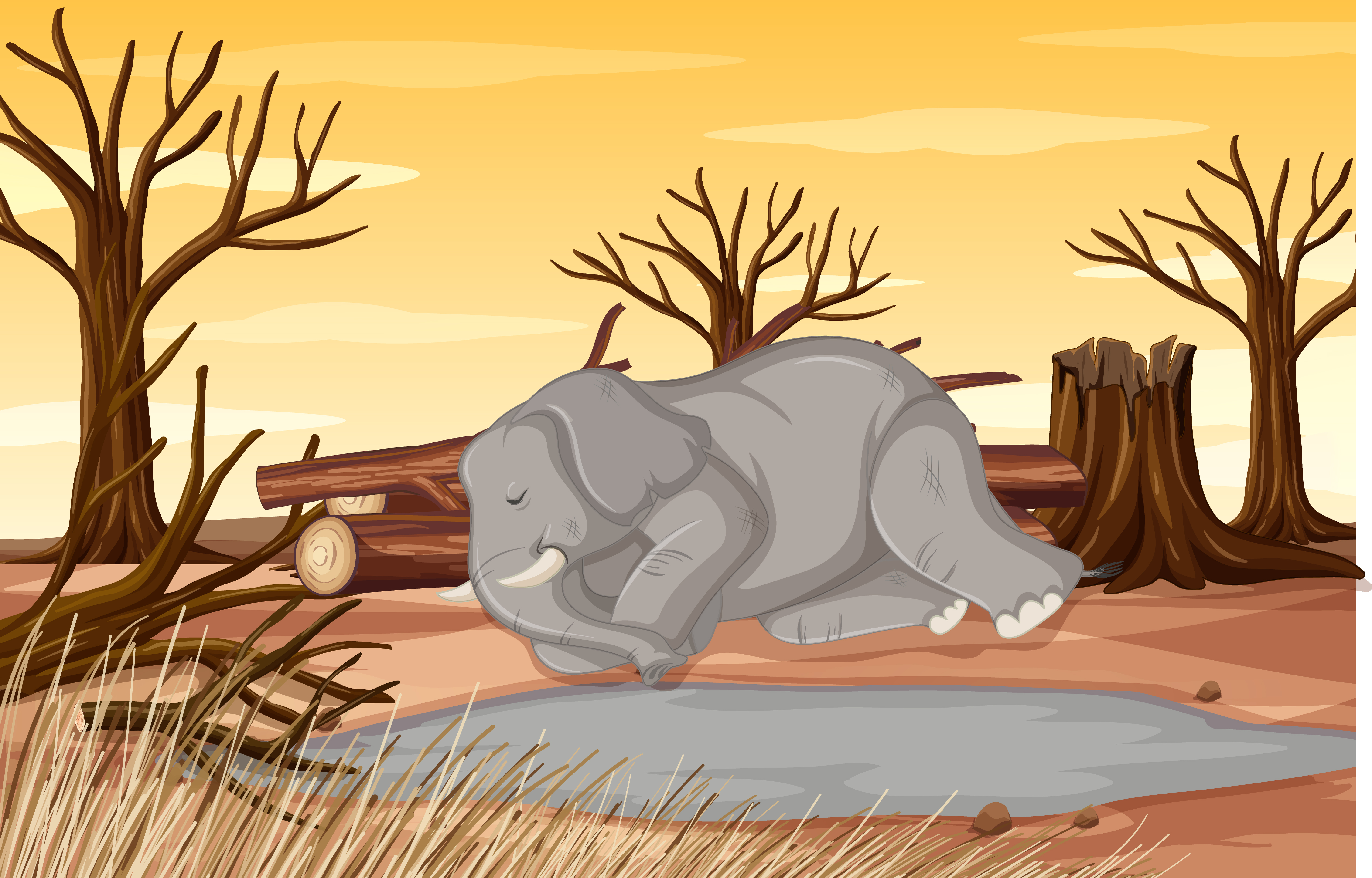 Escena de control de contaminación con elefante y sequía Elefante
