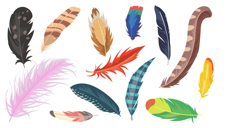 Vector gratuito variedad de conjunto de elementos planos de plumas de colores plumas
