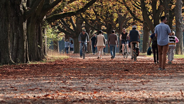 En la imagen puedes ver un parque en la que podemos observar un largo camino rodeado de árboles y un grupo de personas paseando o montando en bicicleta