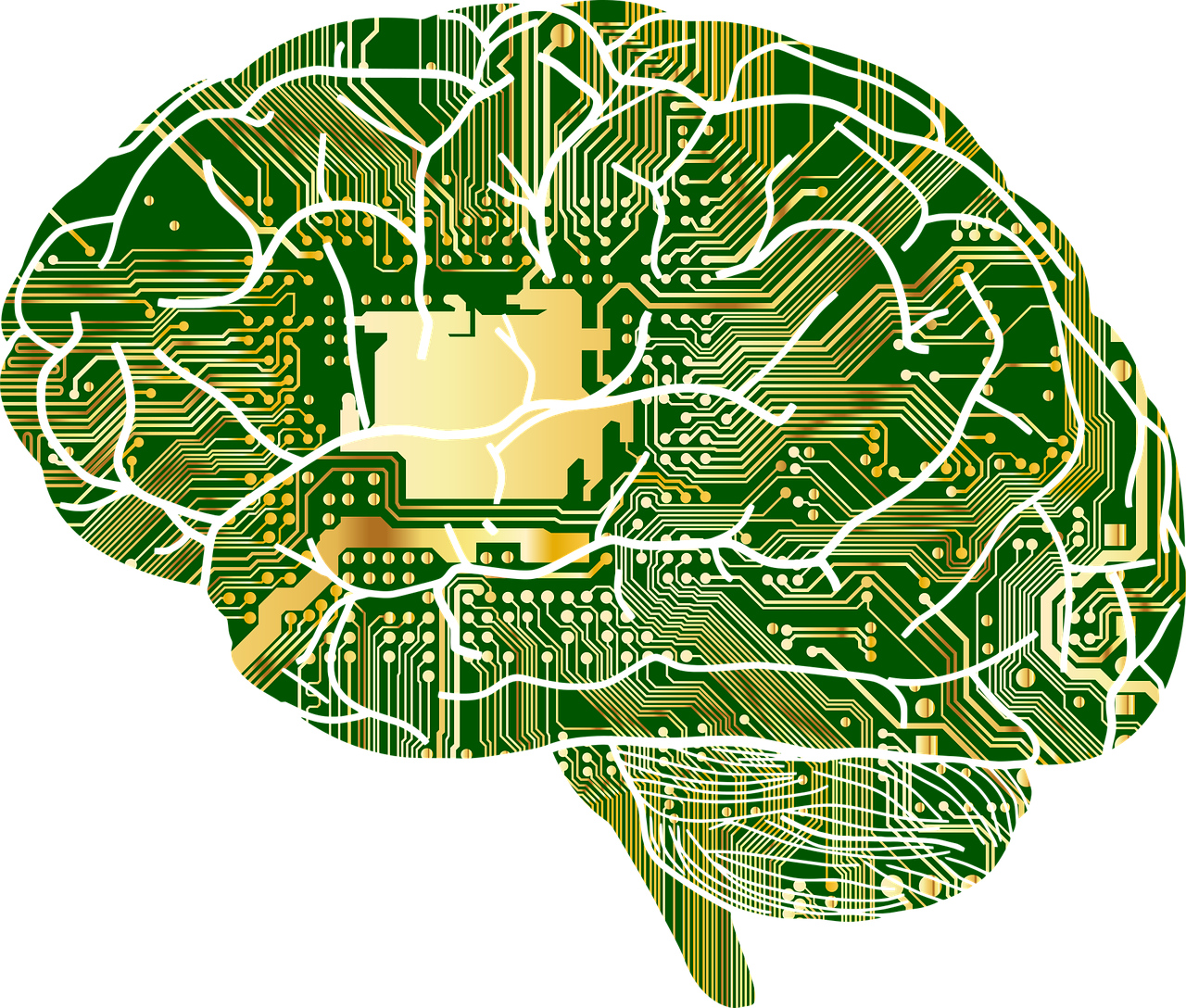 Imagen que muestra un cerebro artificial