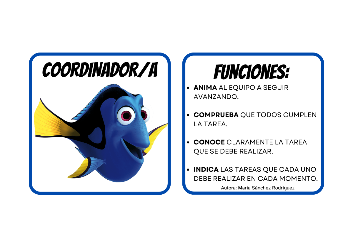Coordinador