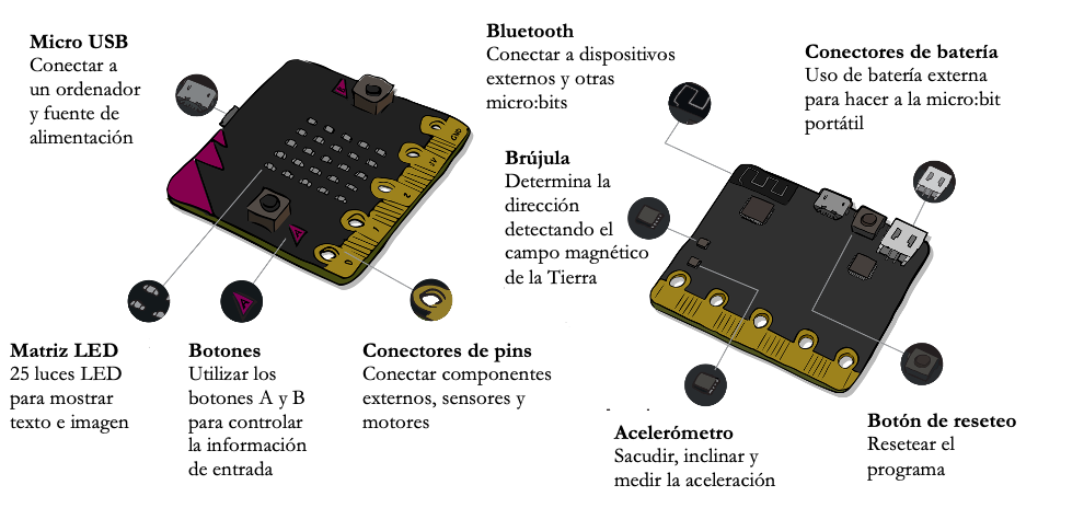 Imagen de placa micro:bit donde se especifican sus partes y componentes