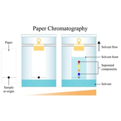 Cromatografia