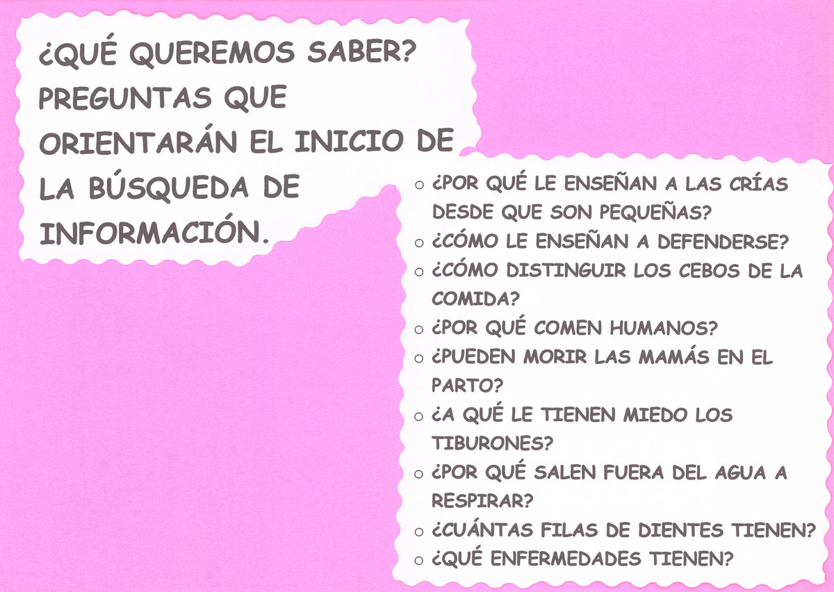 qué queremos saber