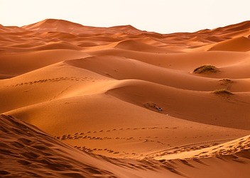 Foto de un desierto de dunas de arena