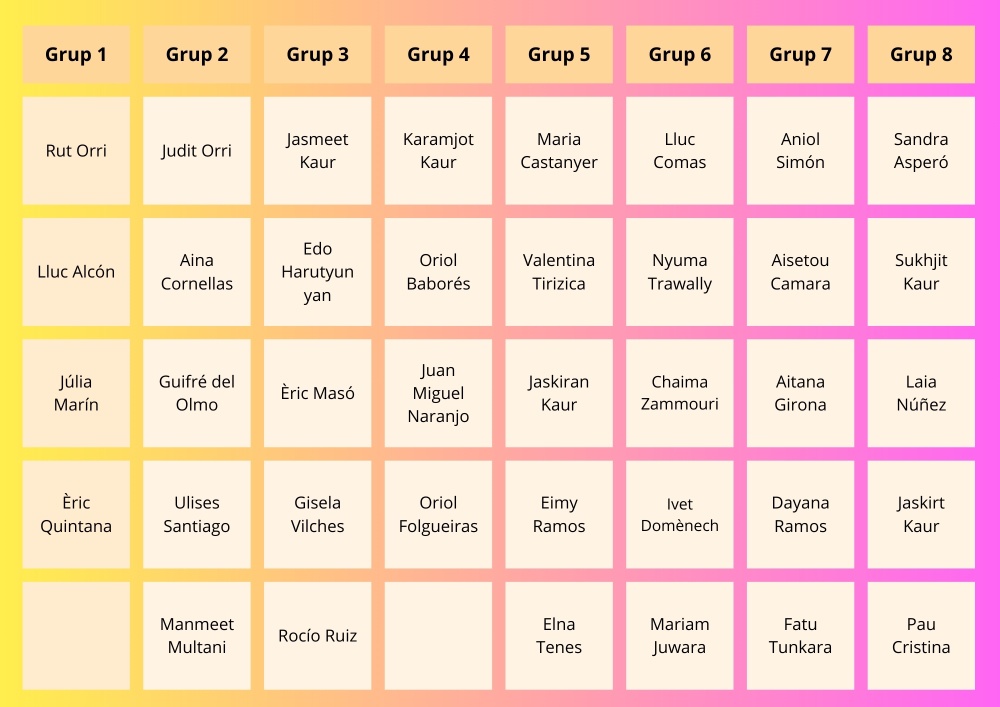 Distribució de grups pel projecte