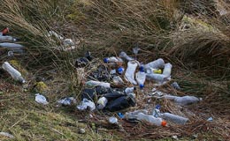 basura en una cuneta