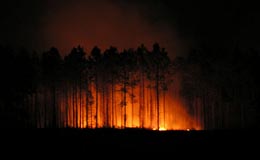 Incendio forestal de noche