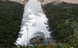 Vertido de aguas fecales