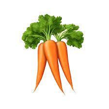 Carrots Carrots