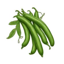 Green beans Green beans