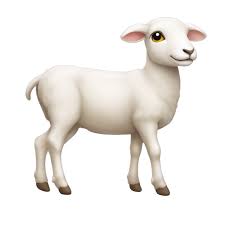 Lamb