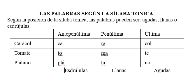 imagen 7