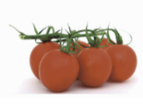tomate
