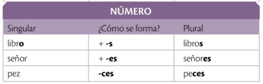 IMAGEN 10