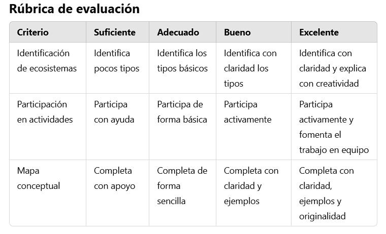 Rúbrica de evaluación