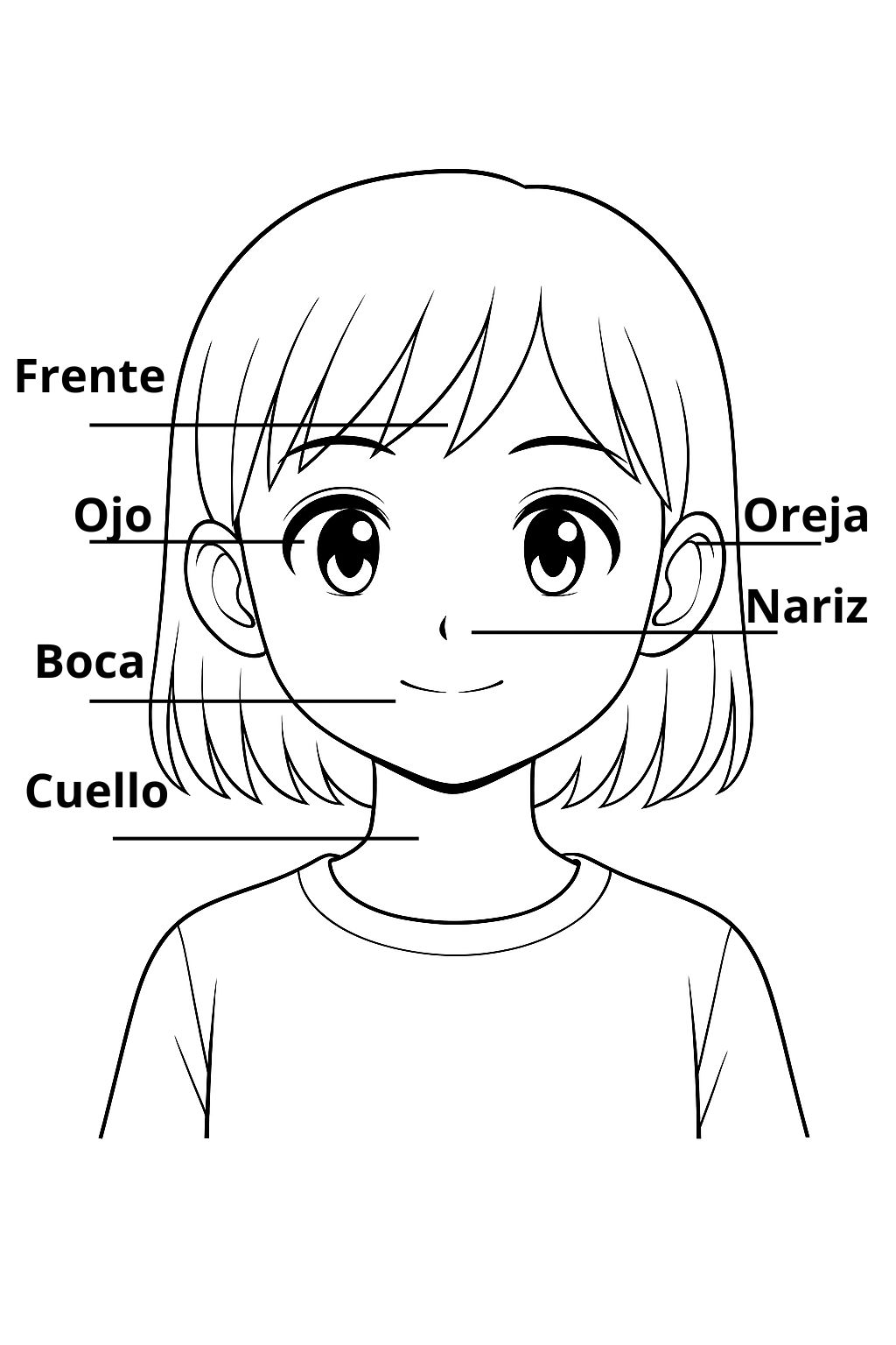 Partes de la cara