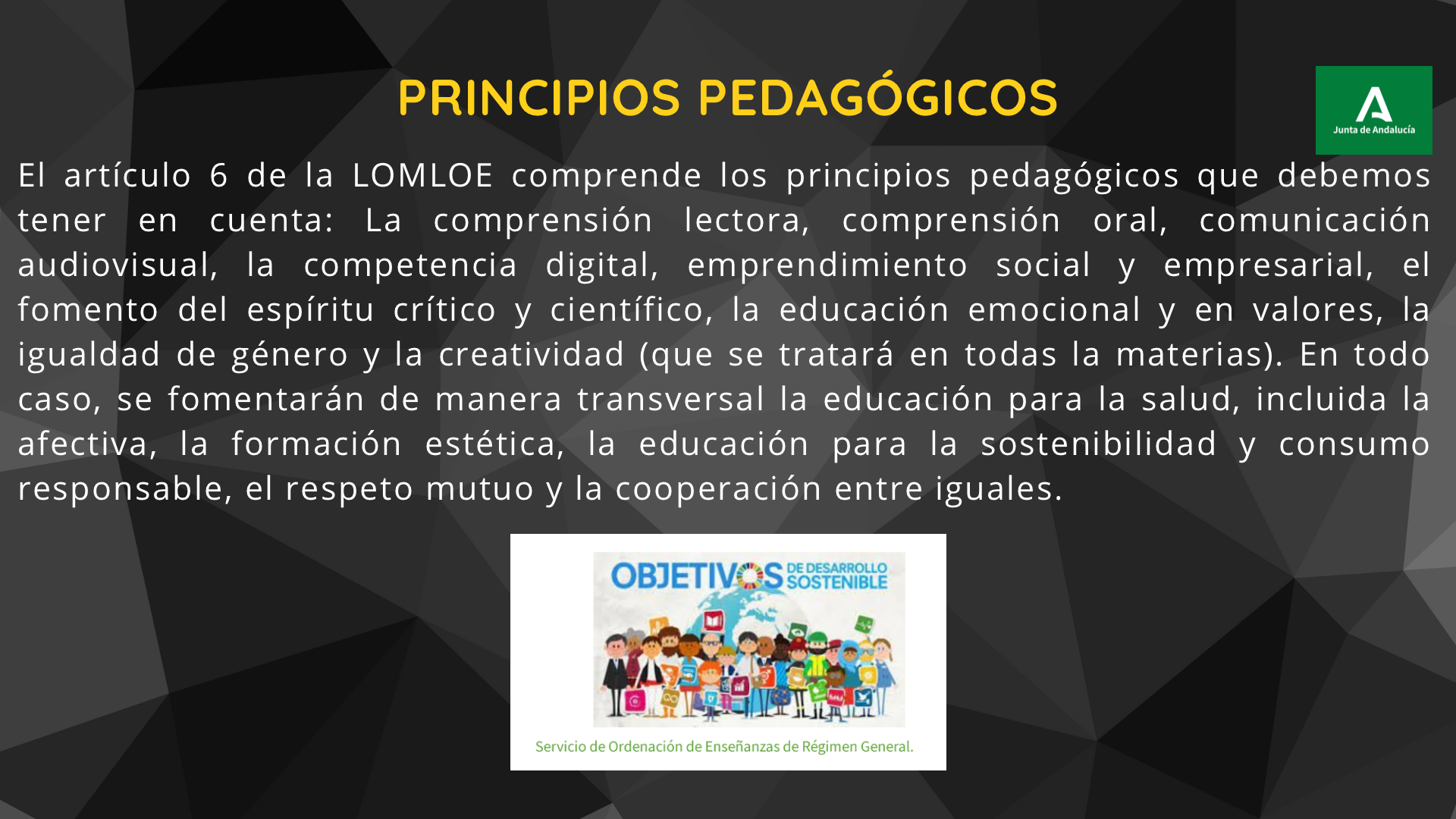 Principios pedagógicos al amparo del currículum