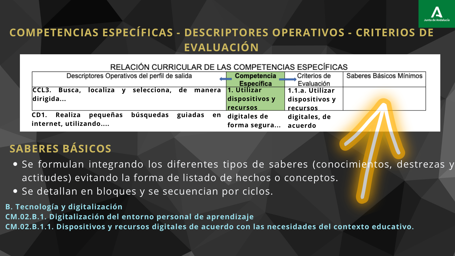Relación curricular acorde a la noramtiva